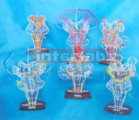 ENLARGED MODEL OF NUCLEI / CONDUCTION OF THE CRANIAL NERVES (6 PCS)